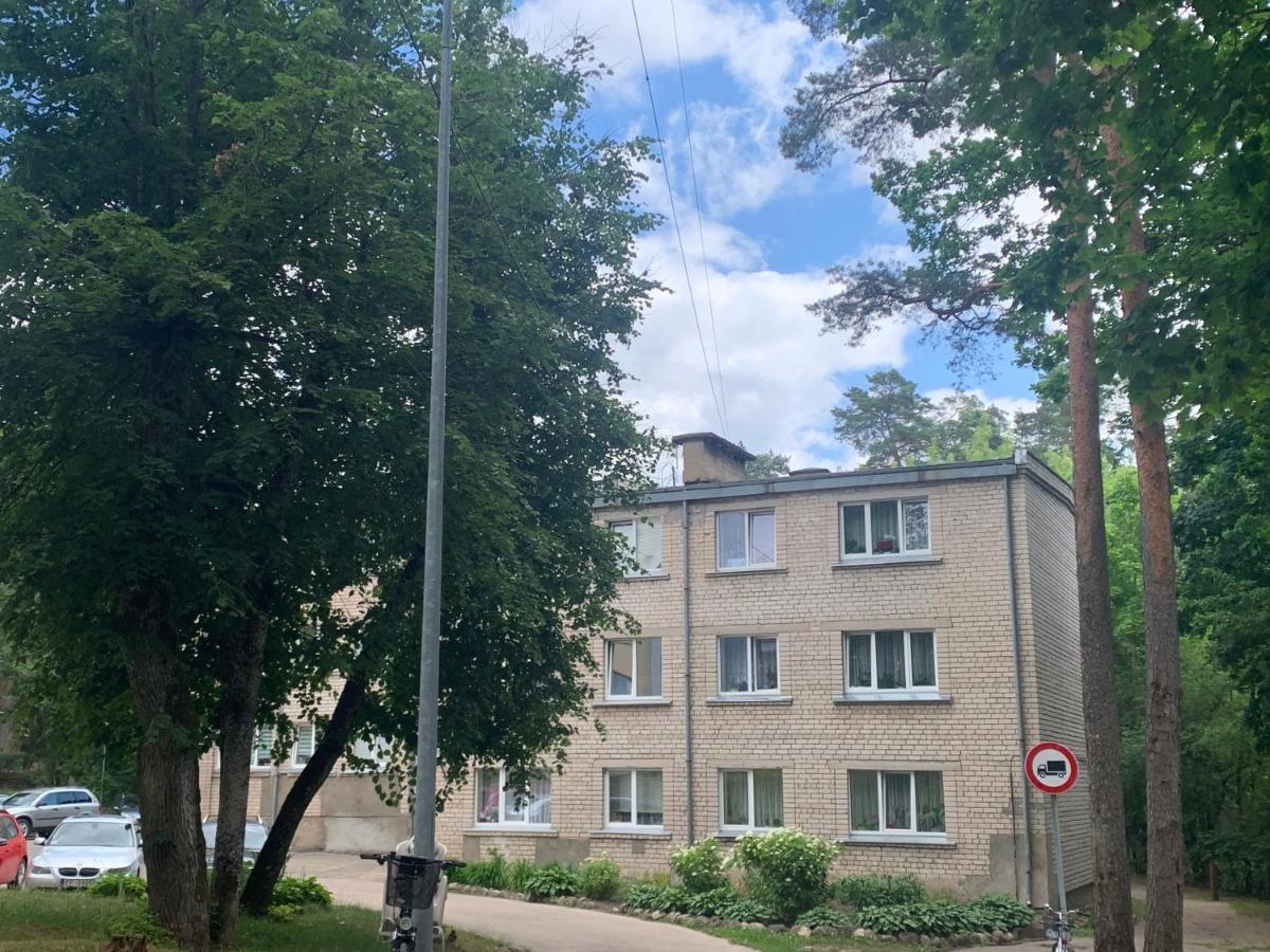 Studio Tipa Dzivoklis Ogre Exterior photo
